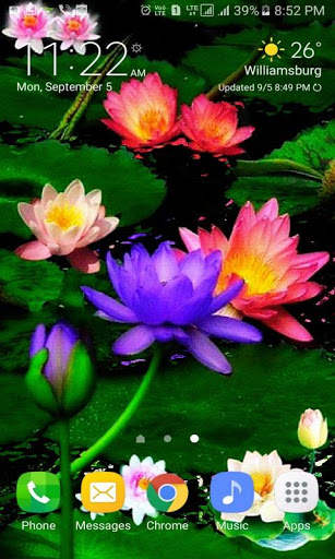 Multicolor Lotus LWP screenshot 2