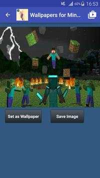 Wallpapers of Minecraft Hd screenshot 6