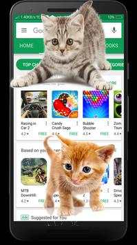 Cat On Screen screenshot 2