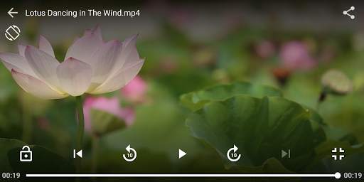 VidTube screenshot 5