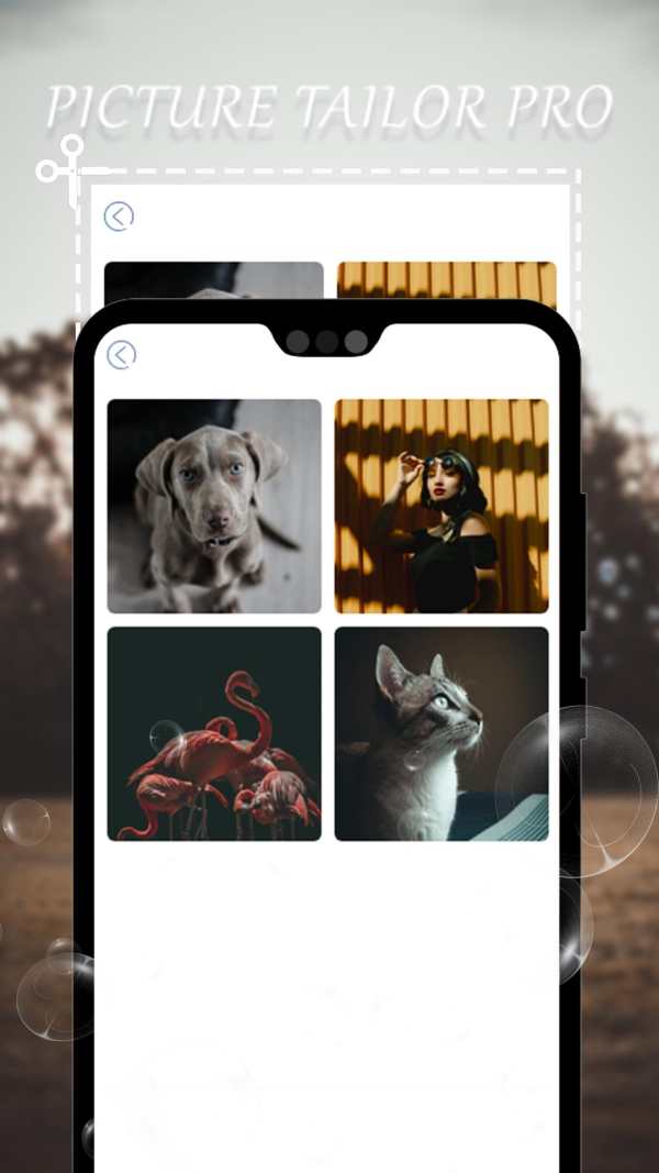 Picture Tailor Pro screenshot 4