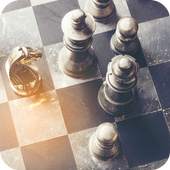 Real 3D Chess Free Online Offline Two Player Game 1.5
