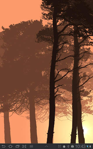 Misty Forest Free screenshot 1