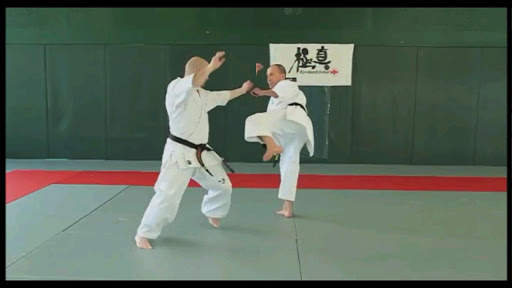 Kyokushin - FREE screenshot 5