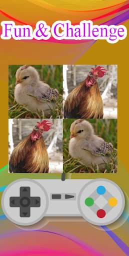 Hen matching game screenshot 9