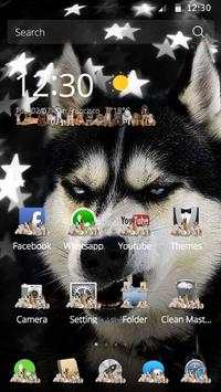 Funny Husky launcher theme screenshot 4