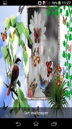 Animated 3D Butterfly screenshot 5