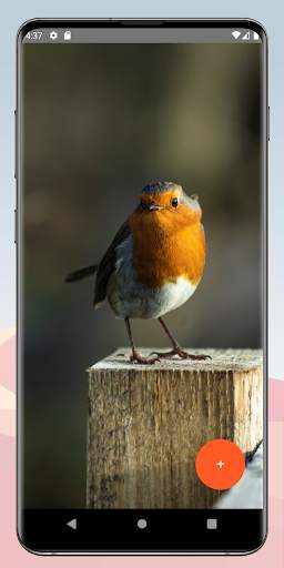 Gradler - Take Photos On Interval, Interval Camera screenshot 5