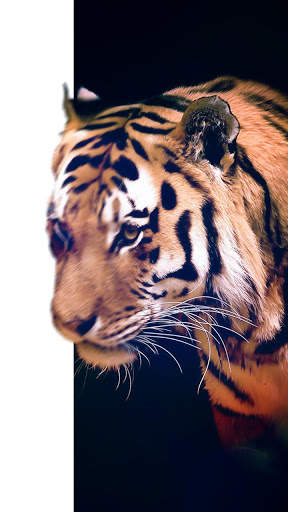 4D Live Wallpaper 2020 screenshot 3