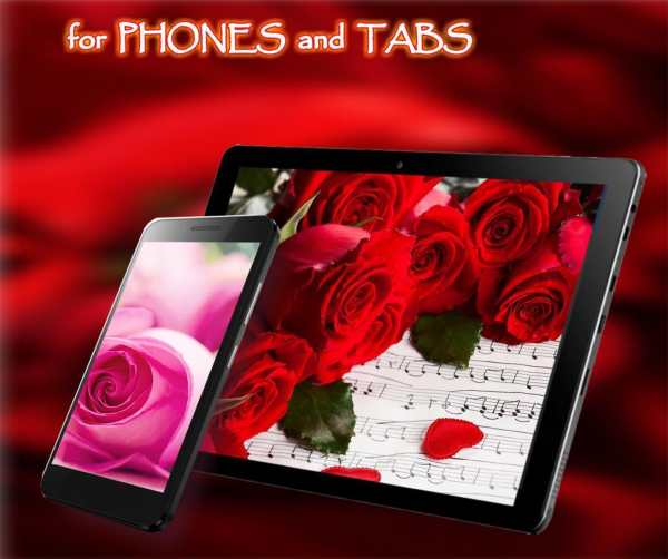 Roses Love Best LWP screenshot 8