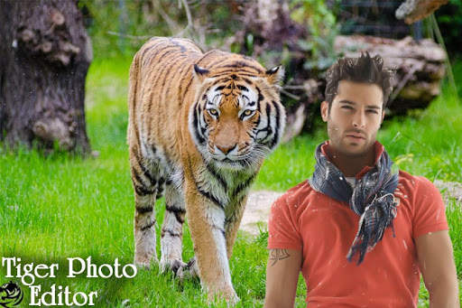 Tiger photo frames 5 تصوير الشاشة