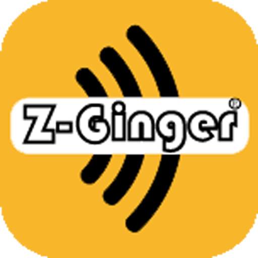 ZGinger Mini 3.4.1