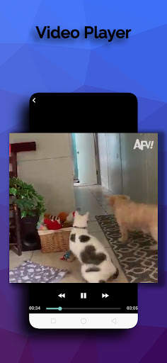 face video story Download screenshot 7