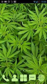 Marijuana - GO Launcher Theme screenshot 2
