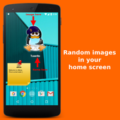 Widget Pokemon आइकन