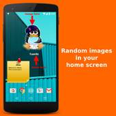 Widget Pokemon 0.5