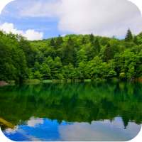 Forest Lake Live Wallpaper icon