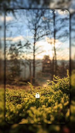 Forest Wallpapers HD (backgrounds & themes) screenshot 4