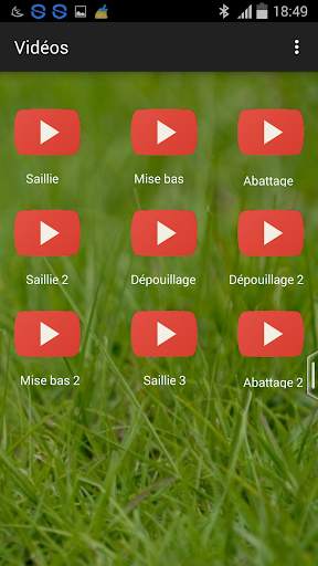 Kaninchenzucht (Führung) screenshot 4