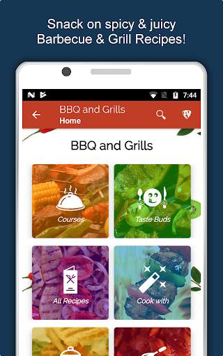 Barbecue Grill Recipes Offline screenshot 10