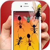 Ants in Phone Insect Crush logo