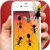 Ants in Phone Insect Crush 2.0