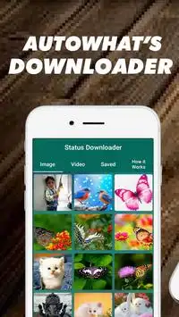 Status Sevar Downlod screenshot 1