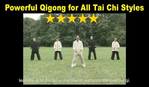Tai Chi Ball Qigong (Dr. Yang) screenshot 5