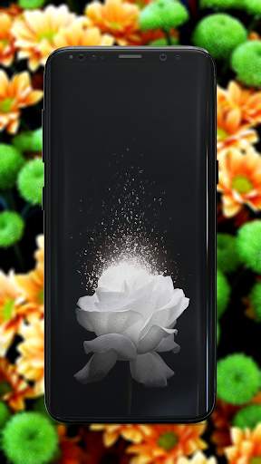 Flower Wallpaper screenshot 8
