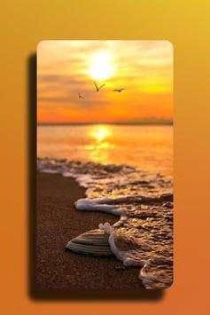 99 Wallpapers Daily screenshot 5