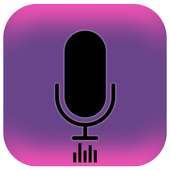 Commands voice Assistant