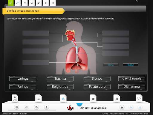 APPunti di anatomia-Lite screenshot 5