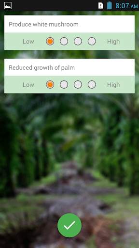 Oil Palm Diagnosis скриншот 3