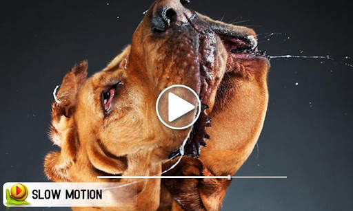 Slow Motion Video Editor – Movie Effect screenshot 4