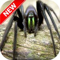 Spider Wallpapers on 9Apps