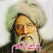 Bulley Shah Kalam 1.3