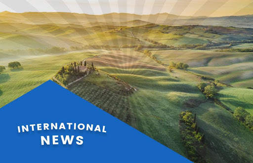 International News screenshot 3