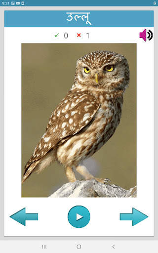 Learn Animals and Birds in Hin screenshot 21