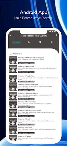 Male Reproductive System screenshot 1