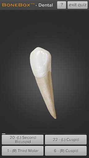 BoneBox™ - Dental Lite screenshot 3