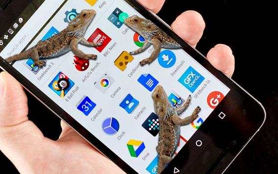 Lizard on phone screen funny joke screenshot 5
