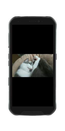 Funny Video Status For SnapChat screenshot 6