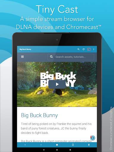 Tiny Cast Browser - Cast to Chromecast / DLNA скриншот 3