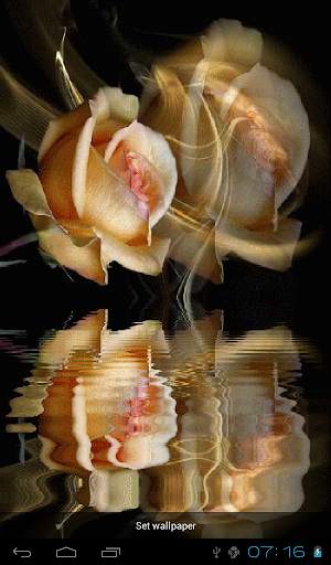Rose Live Wallpaper screenshot 15