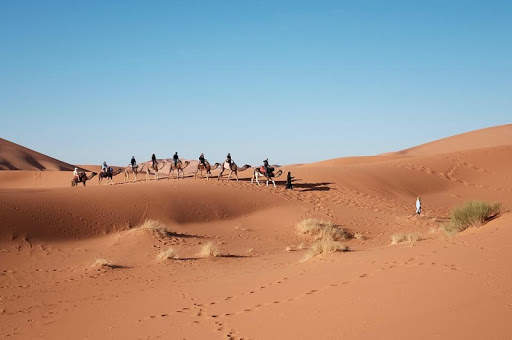 Egypt Wallpaper Travel screenshot 16