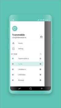 Team Browser screenshot 7