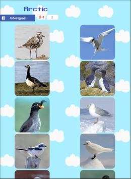 Bird Sounds Bird Puzzle - birds around the world screenshot 6