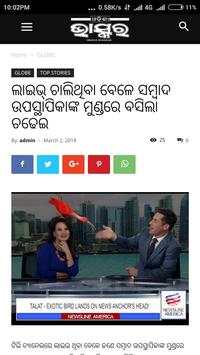 Odia News Paper screenshot 12