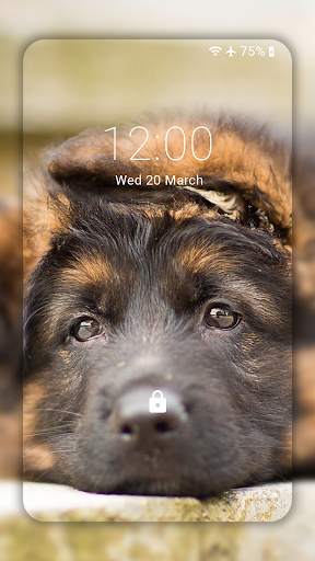 German Shepherd Wallpaper HD screenshot 2