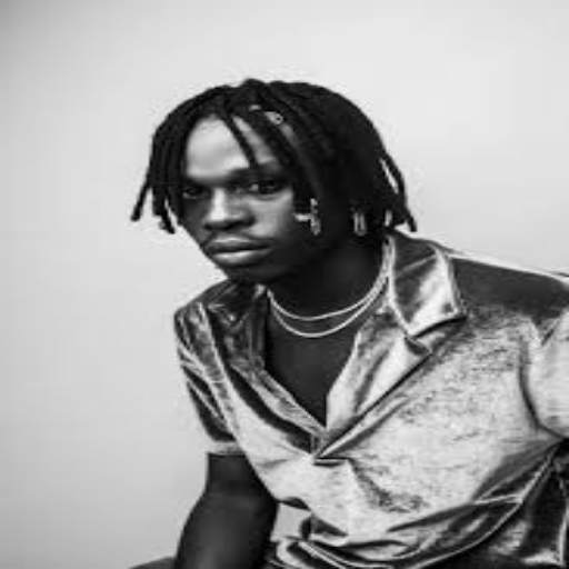 Fireboy DML Songs 1.0